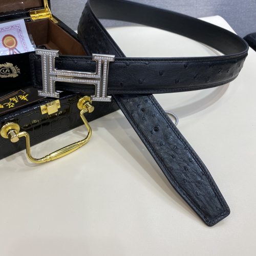 HH waistband 3.8cm