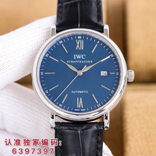 IW watch