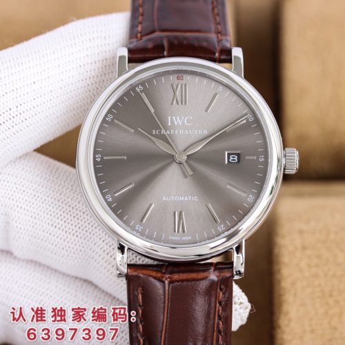 IW watch