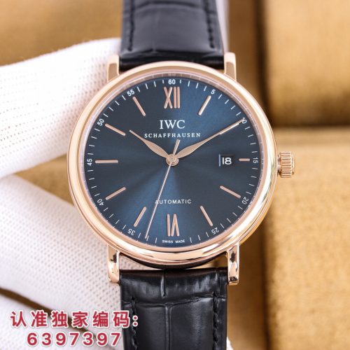IW watch