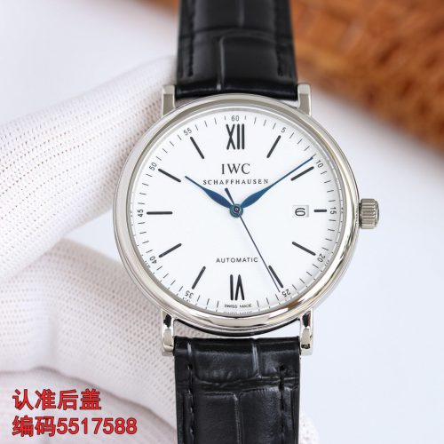 IW watch